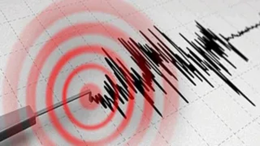Землетрясение магнитудой 4,2 в Измире