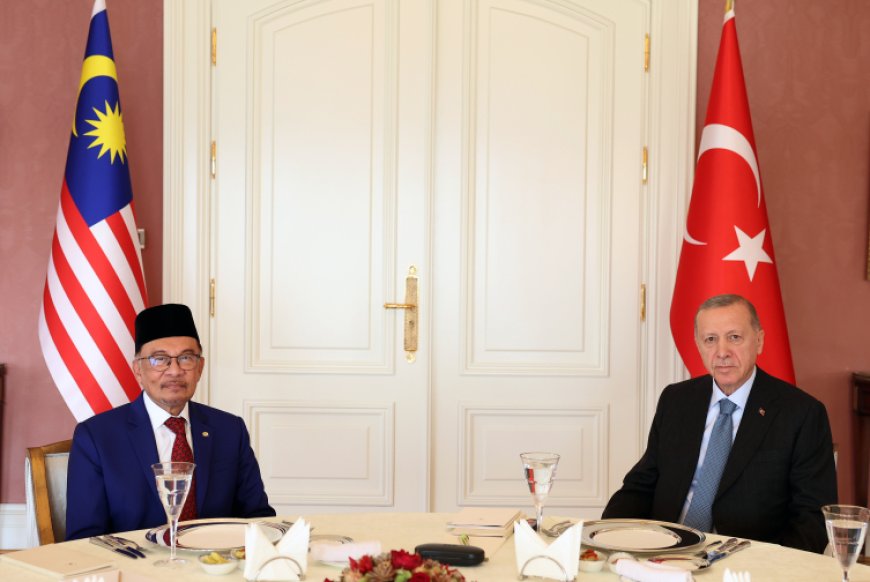 Интенсивное дипломатическое движение президента Реджепа Тайипа Эрдогана продолжается