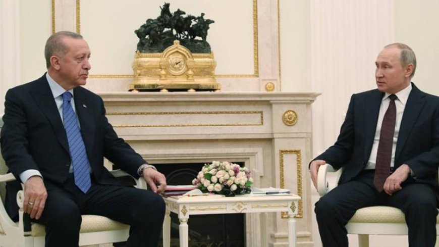 Президент Эрдоган обсудил с Путиным вопросы Палестины