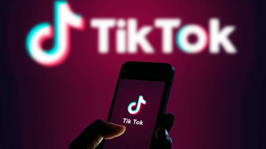 Арестовано 13 человек за использование TikTok