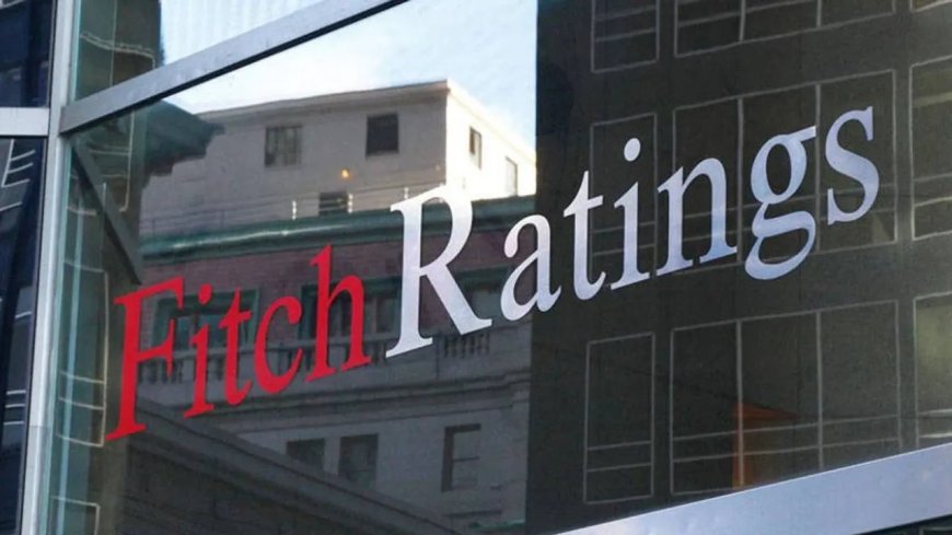 Критика бюджетной позиции Турции со стороны Fitch Ratings