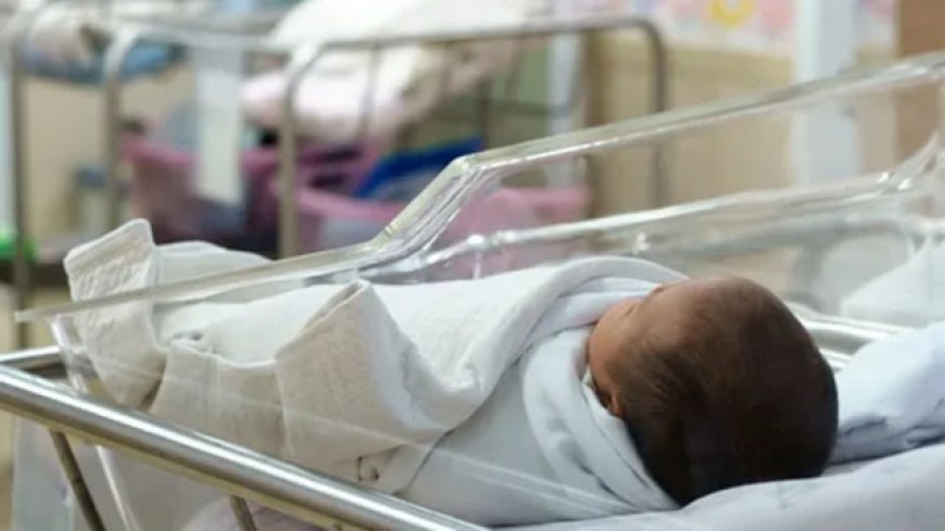 Объявлена статистика рождаемости в Турции! Самый высокий уровень в Шанлыурфе и самый низкий в Бартыне