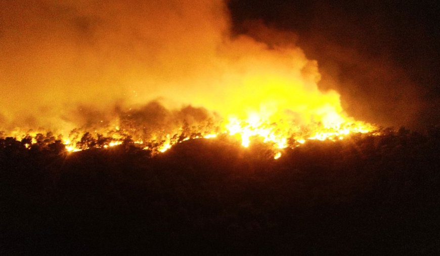Лесной пожар в Кемере