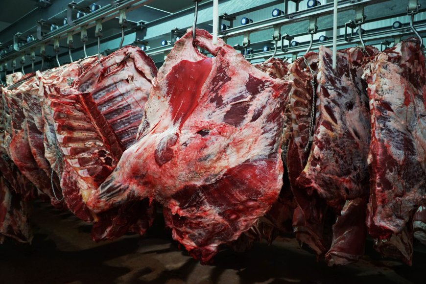 Турция сняла запрет на импорт мяса из Казахстана