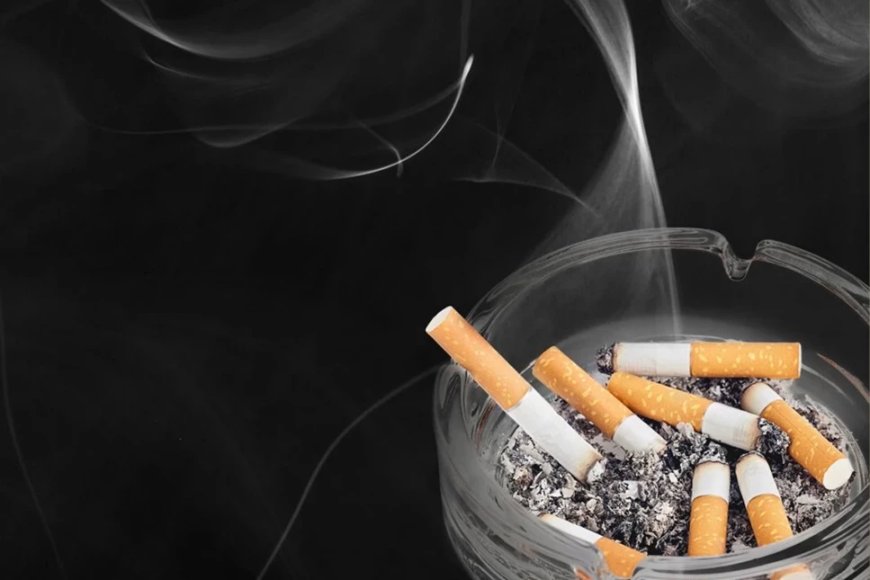 В Нидерландах запретят продажу сигарет