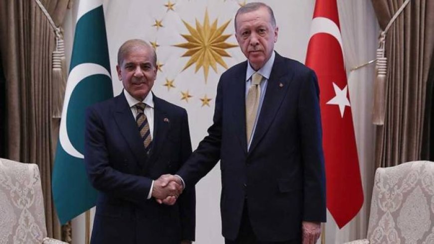Эрдоган поговорил по телефону с премьер-министром Пакистана