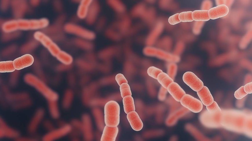 Число случаев заражения бактериями STSS, поедающими мясо, в Японии достигло рекорда