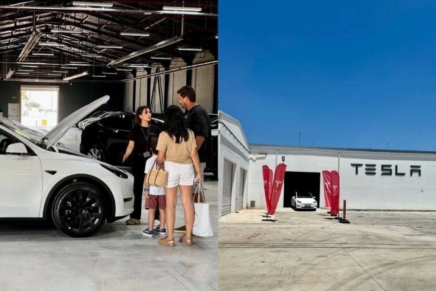 Tesla начала поставки Model Y RWD в Анкаре и Стамбуле