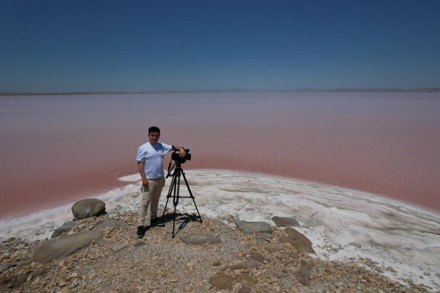 Соленое озеро стало розовым