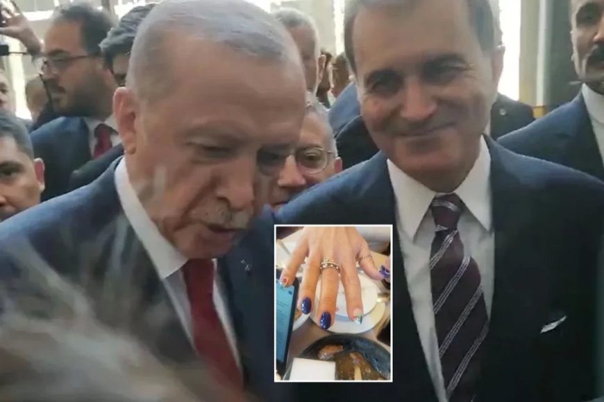 Эрдоган удивился разноцветному маникюру журналистки