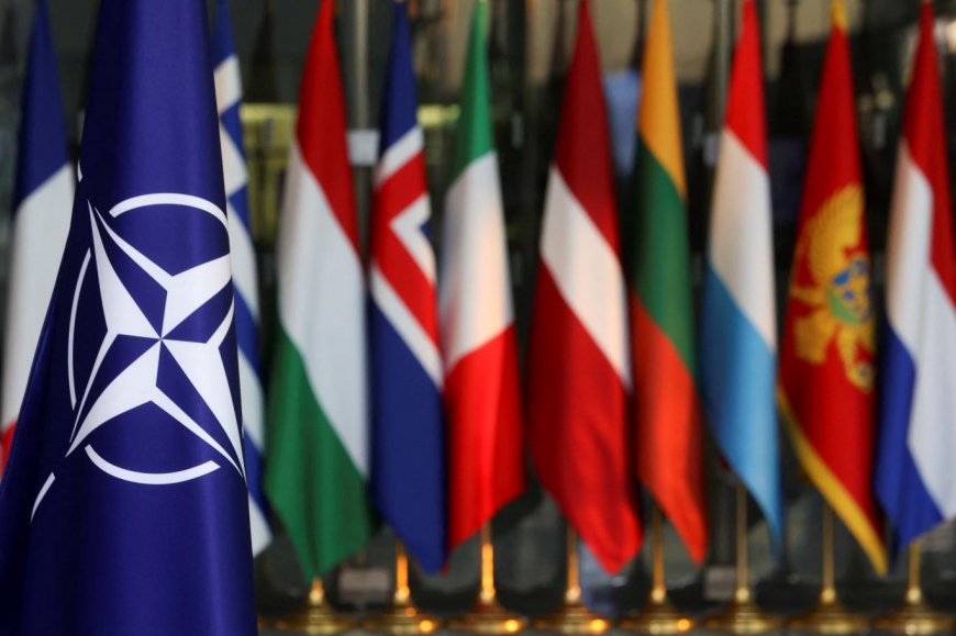 Поддержка НАТО среди турок выросла вдвое