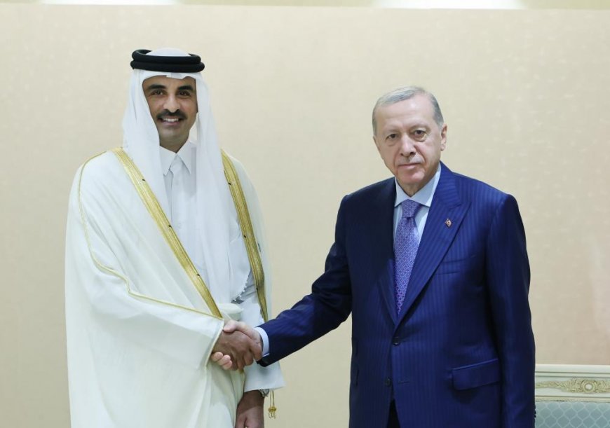 Президент Эрдоган встретился с эмиром Катара