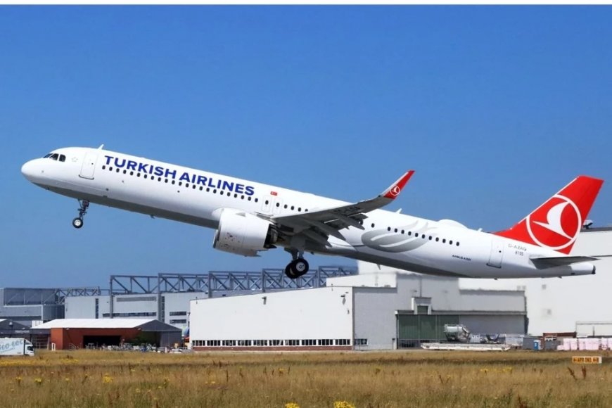 Turkish Airlines приняла меры после инцидента с  Airbus