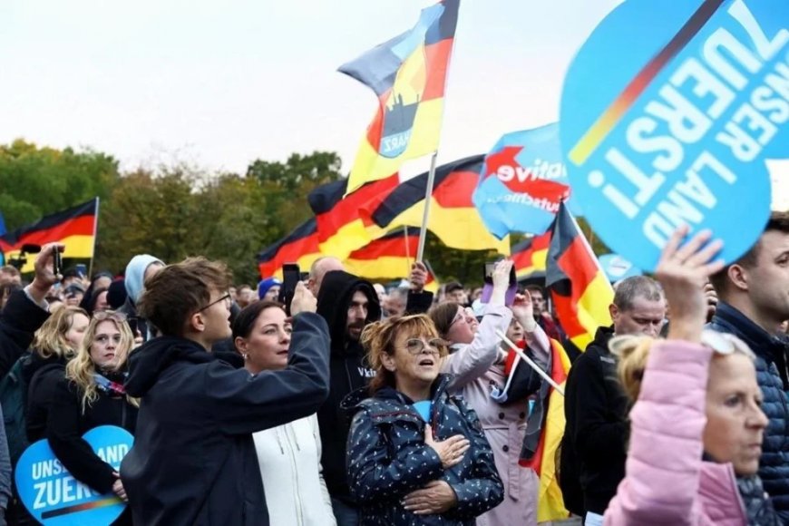 В Германии растет влияние AfD