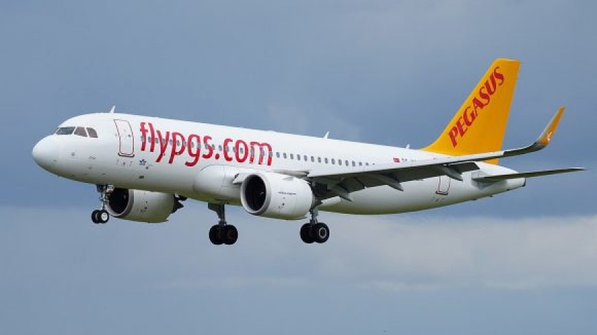 Пассажир рейса Pegasus Airlines устроил беспорядки на борту