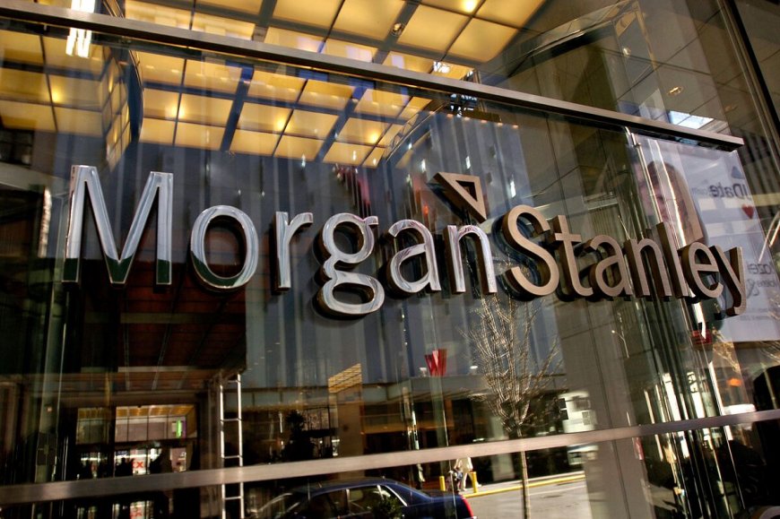 Morgan Stanley прогнозирует резкое падение евро