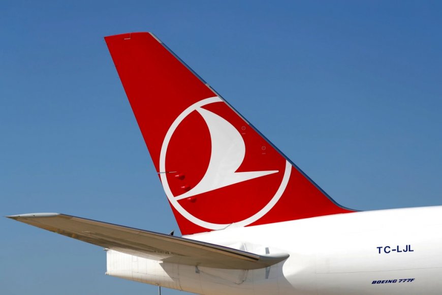 Отменены рейсы Turkish Airlines в Брюссель