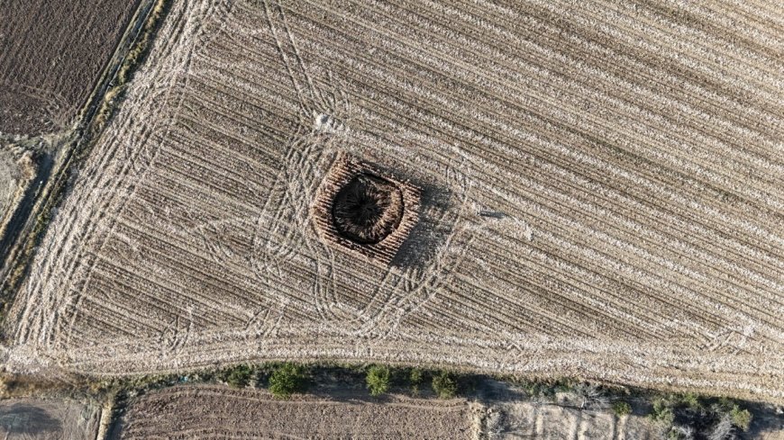 В Карамане провалилось кукурузное поле